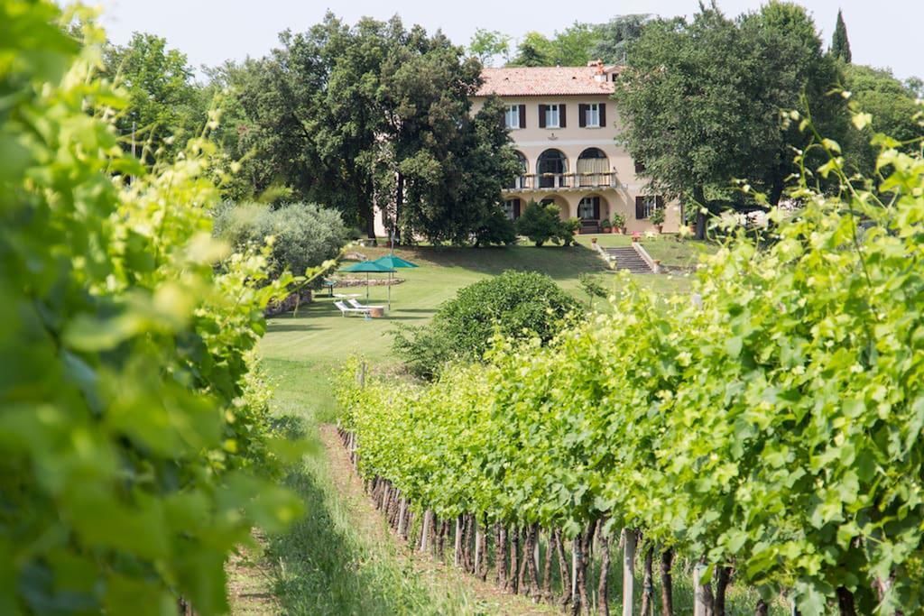 Villa Marani Rovolon Exteriör bild